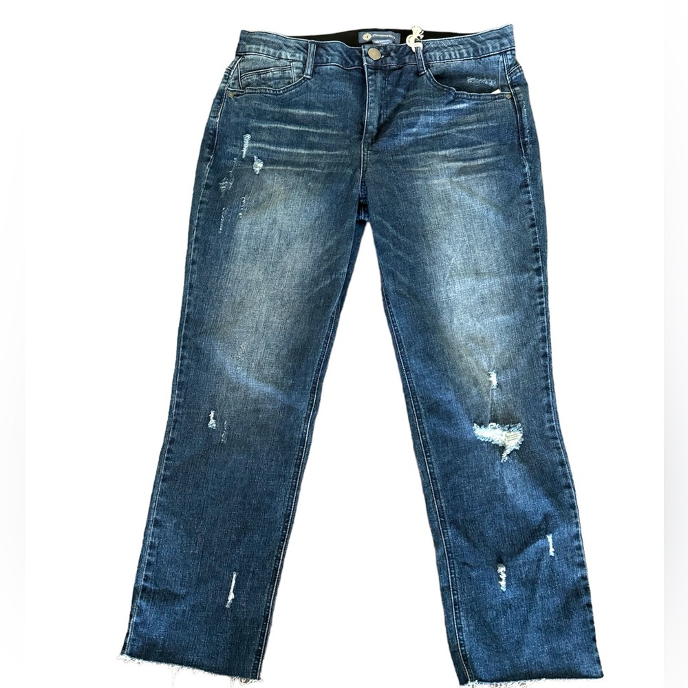 FINAL PRICE NWT Democracy Absolution Slim Straight Jeans Ladies Size 12